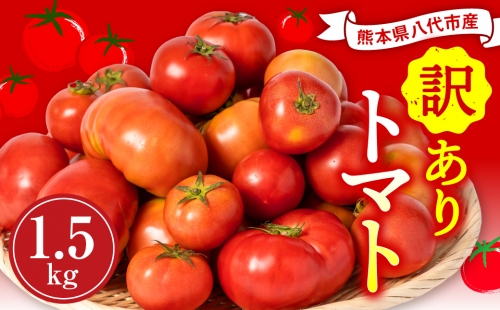 【順次発送】 【訳あり】 八代市産 規格外トマト 1.5kg 熊本県 トマト 野菜 1251292 - 熊本県八代市