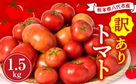 【先行予約】 【訳あり】 八代市産 規格外トマト 1.5kg 熊本県 トマト 野菜【2024年11月下旬より順次発送】