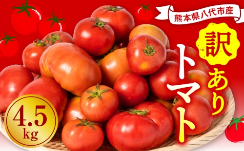 【順次発送】 【訳あり】 八代市産 規格外トマト 4.5kg 熊本県 トマト 野菜 1251294 - 熊本県八代市
