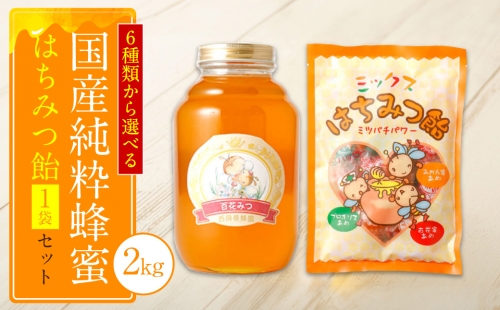 【選べる蜂蜜】国産 純粋 蜂蜜 2kg 蜂蜜あめ 1袋 はちみつ 1251308 - 熊本県八代市