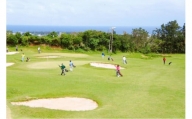 南の島のゴルフコース（ショートコース）1日回り放題プレー券！シューズ・クラブ・ボールレンタル料込の超満喫プラン！（1名様）　W049-001