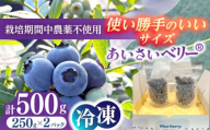 あいさいベリー（ブルーベリー冷凍果実）250g×2パック 産地直送 冷凍 ブルーベリー 愛西市/あいさいベリーLABO [AEBZ005] フルーツ ブルーベリー 果物