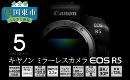【ふるさと納税】キヤノンミラーレスカメラEOS R5・ボディー