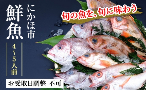 発送メールのみ 日本海の鮮魚詰め合わせ（4～5人前 下処理済み 切り身 魚介 セット） 125200 - 秋田県にかほ市