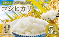 [ 新米予約 ]新米 令和8年産 コシヒカリ 5kg 白米 特別栽培米 米 R8 年産 こしひかり 2026年産 国産 農家直送 環境こだわり お試し用 単品 小分け 単品 お米 こめ おこめ ライス コメ 精米 おいしい 農家直送 産地直送 人気 おすすめ 5キロ 5kg kome okome koshihikari 2026年産 送料無料 滋賀県 竜王町 [IF101_R8]