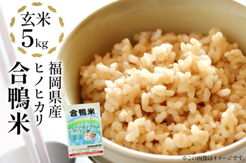 令和7年産 新米予約 合鴨米「ヒノヒカリ」（玄米・5kg） ※2025年10月より順次出荷予定　BI03　 125356 - 福岡県大木町
