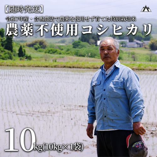 【令和7年産米】【新米】農薬不使用　コシヒカリ　合鴨農法　10kg(特別栽培米、旧名：会津磐梯山宝米） 125359 - 福島県磐梯町