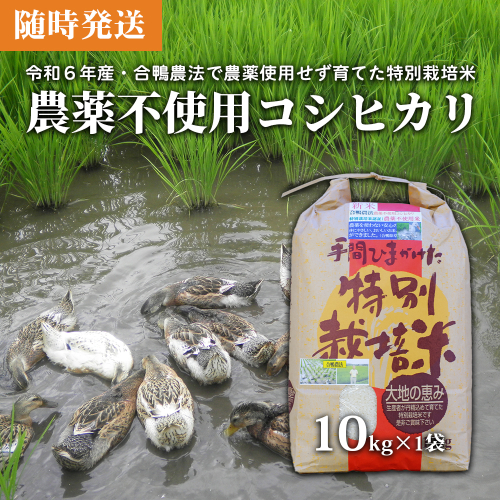 令和4年 アイガモ農法米 JA米 新米コシヒカリ 一等米 30kg
