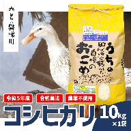 [令和5年産米]農薬不使用 コシヒカリ米 合鴨農法 10kg(特別栽培米、旧名:会津磐梯山宝米)