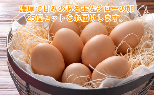 土佐ジローの卵　25個入り 125397 - 高知県本山町