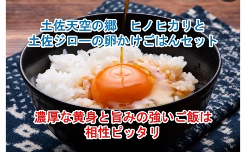 土佐天空の郷「ヒノヒカリ」と土佐ジローの卵かけご飯セット 125399 - 高知県本山町