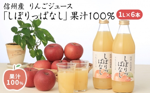 信州産 りんごジュース 「しぼりっぱなし」 果汁100％ (1L×6本) 1254045 - 長野県長野市