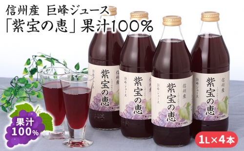 信州産 巨峰ジュース 果汁100％　「紫宝の恵」 (1L×4本) 1254047 - 長野県長野市