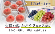 KF-T038【きよとう】上級品の２回便！厳選した旬の桃とカラフル葡萄の詰め合わせが旬に届く！