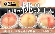 KF-A016【きよとう】厳選品 旬の桃（品種おまかせ）3玉入