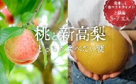 KF-T035【きよとう】上級品の2回便！桃と新高梨どっちも食べたい便