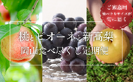 KF-T034【きよとう】岡山果物食べ尽くし！桃とピオーネと新高梨が毎月届く３回便！