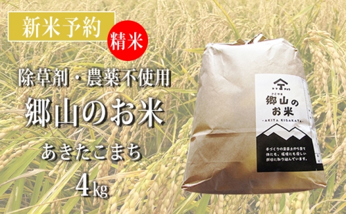【新米予約】農薬不使用のあきたこまち（精米）「郷山のお米」4kg（2kg×2袋） 125437 - 秋田県にかほ市