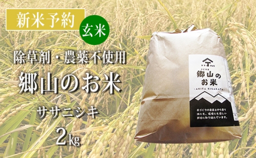 【新米予約】農薬不使用のササニシキ（玄米）「郷山のお米」2kg 125439 - 秋田県にかほ市