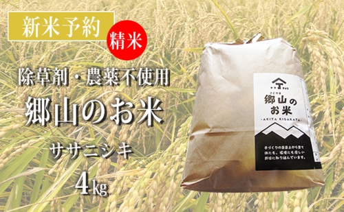 【新米予約】農薬不使用のササニシキ（精米）「郷山のお米」4kg（2kg×2袋）