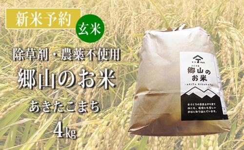 【新米予約】農薬不使用のあきたこまち（玄米）「郷山のお米」4kg（2kg×2袋） 125442 - 秋田県にかほ市