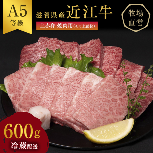 【近江牛 西川畜産】A5ランク雌牛　上赤身焼肉用　約600g ふるさと納税 お肉 牛肉 バーベキュー モモ ブランド牛 125461 - 滋賀県豊郷町