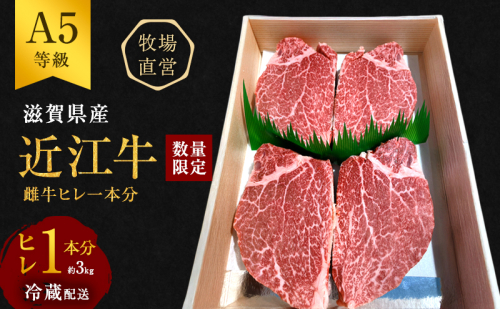 【数量限定】【近江牛 西川畜産】A5ランク雌牛　ヒレ1本分　約3kg ふるさと納税 ステーキ a5 お肉 牛肉 ブランド牛 125469 - 滋賀県豊郷町