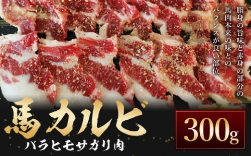 C59Z 【熊本と畜】 馬カルビ 焼肉用（バラヒモサガリ肉）約300g 1254808 - 熊本県益城町