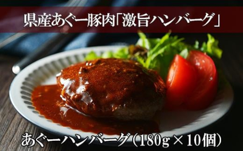 あぐーハンバーグ （ 180g × 10個 ） 1255015 - 沖縄県浦添市