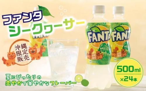 【沖縄限定販売!】ファンタ シークワーサー 500ml×24本 1255057 - 沖縄県浦添市