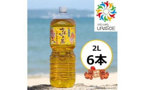 【沖縄限定販売！】茶琉彩彩さんぴん茶2L×6本 1255126 - 沖縄県浦添市