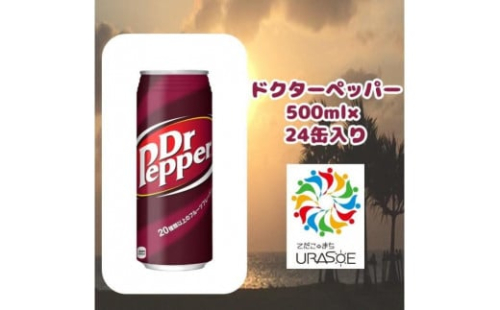 ドクターペッパー 　500ml×24本 1255149 - 沖縄県浦添市