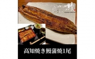 高知焼き鰻蒲焼1尾