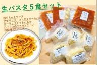 おうちで生パスタ＆ソース（冷凍）５食セット[B2-14401]