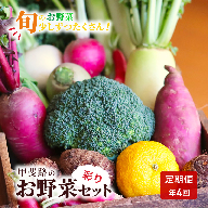 【定期便・年4回】旬のお野菜を少しずつたくさん！甲斐路の彩りお野菜セット