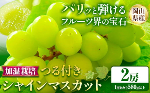 236.【先行予約】 岡山県産 加温栽培 つる付き シャインマスカット 2房 (580g以上) 【配送不可地域あり】 《7月上旬-8月下旬頃出荷予定》 岡山県 矢掛町 マスカット ぶどう 葡萄 果物 1256167 - 岡山県矢掛町