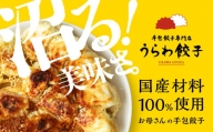 うらわ餃子　レギュラー10個・バジル＆チーズ10個セット　【11100-0725】