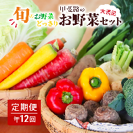 【定期・年12回】旬のお野菜がどっさり！甲斐路の大満足お野菜セット