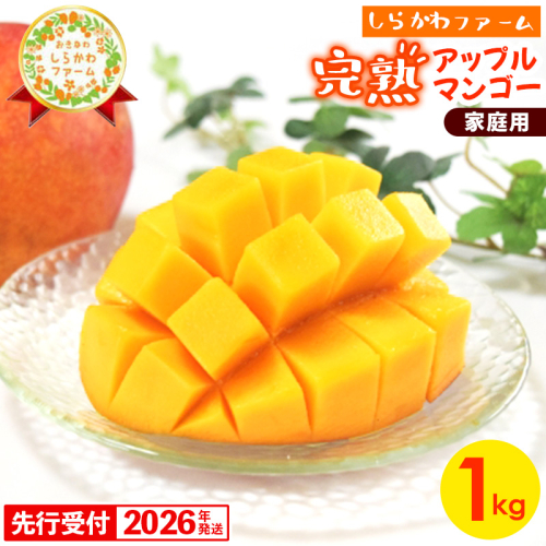 【先行受付】【2026年発送】しらかわファームの家庭用アップルマンゴー約1kg - 先行予約 沖縄県産 産地直送 南国フルーツ 旬の味覚 季節の果物 ご自宅用 家庭用 沖縄県 八重瀬町 125654 - 沖縄県八重瀬町