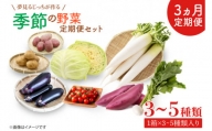 CN-6 【3ヶ月定期便】 夢見るじっちが作る季節の野菜セット 3～5種類入り1箱