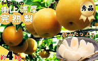 【先行予約】【秋の美味】和歌山の樹上濃厚完熟梨　約4kg ※2024年8月上旬～9月中旬頃順次発送 ※着日指定不可