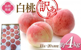 山形県は全国で5本指に入る桃の産地でもあります。山形盆地の夏の厳しい暑さと夜の涼しさが、桃の味を濃厚に育てます。桃の産地としては北限の為、収穫期間は遅めです。期間内には色々な品種の桃が収穫されます。収