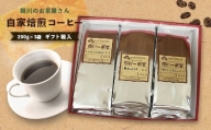 ６０２５　➁粉（挽く）掛川のお茶屋さん ｢ 自家焙煎コーヒー ｣ 200g × 3袋 ギフト箱入 掛川一風堂