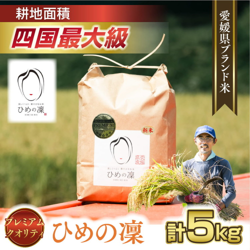 【R7年産】【愛媛県ブランド】ひめの凜 5kg（プレミアムクオリティ） ｜ お米 お米不足 お米品薄 おいしい お米 事業者支援 送料無料 白米 精米 国産 限定 ごはん ご飯 白飯 ゴハン 愛媛県産 鬼北町 ※2025年11月上旬より順次発送予定 1257482 - 愛媛県鬼北町