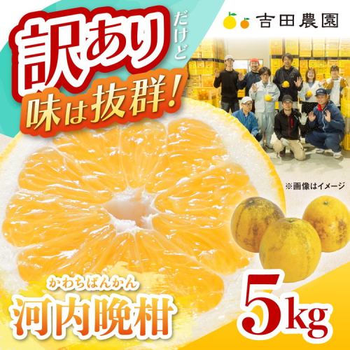 訳あり 河内晩柑5kg（家庭用） ＜ 柑橘 希少 果物 国産 フルーツ みかん 蜜柑 訳あり 家庭用 和製 グレープフルーツ ブランド 愛媛 果実 ビタミン ＞ ※2026年4月上旬～8月上旬頃に順次発送予定
 1257487 - 愛媛県鬼北町
