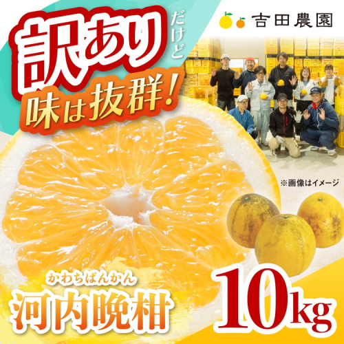 訳あり 河内晩柑10kg（家庭用） ＜ 柑橘 希少 果物 国産 フルーツ みかん 蜜柑 訳あり 家庭用 和製 グレープフルーツ ブランド 愛媛 果実 ビタミン ＞ ※2026年4月上旬～8月上旬頃に順次発送予定 1257488 - 愛媛県鬼北町
