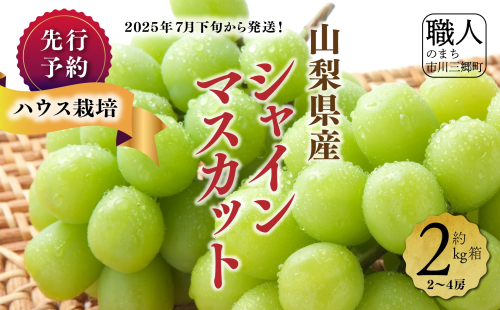 ハウス栽培で旬の味を一足早くお届け！【2025年７月下旬から発送】山梨県産シャインマスカット ２kg（２～４房程度）丹澤農園[5839-1180] 125749 - 山梨県市川三郷町