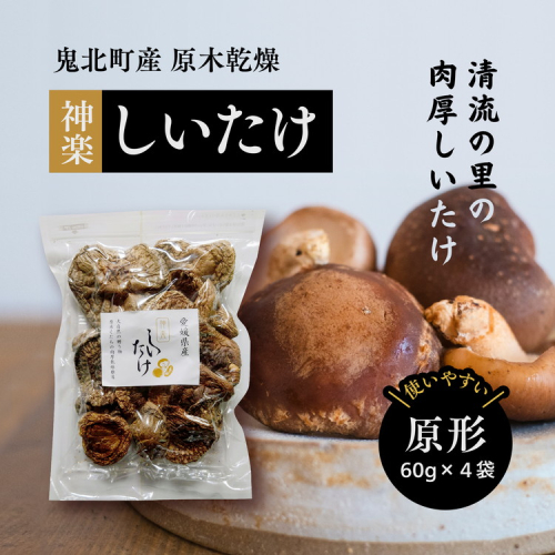【神楽しいたけ】原木乾燥しいたけ（原形 60gx4） ｜ きのこ しいたけ 原木 乾燥しいたけ 肉厚  特産品 愛媛県 鬼北町 1257514 - 愛媛県鬼北町