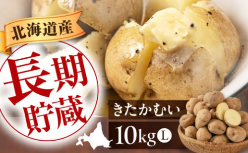 【2026年1月以降順次発送】じゃがいも きたかむい 10Kg 《喜茂別町》【Aコープようてい】 ジャガイモ 野菜 季節の野菜 詰め合わせ 北海道 産地直送 1257634 - 北海道喜茂別町