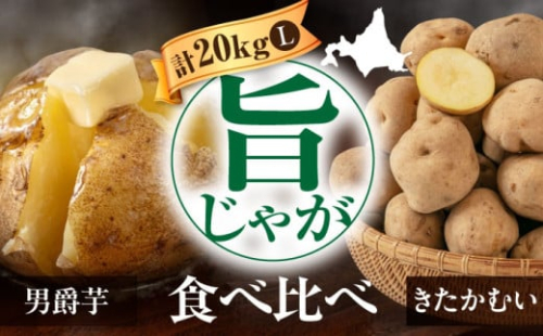 【2026年1月以降順次発送】じゃがいも 食べ比べセット 計20kg（男爵芋・きたかむい各10kg）《喜茂別町》【Aコープようてい】 ジャガイモ 男爵芋 きたかむい 季節の野菜 詰め合わせ 北海道 1257637 - 北海道喜茂別町